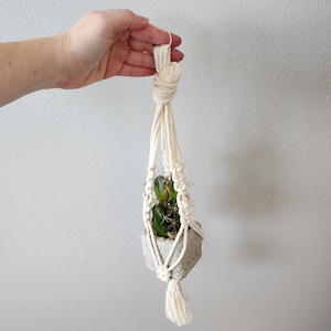 May include: A white macrame plant hanger with a concrete pot and a small green cactus plant inside.