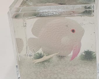Miniature Resin Fish Aquarium By Artist Joan Mitchell