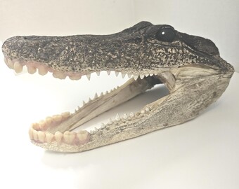 A Toothy Alligator Head By Artist Joan Mitchell