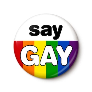 Say Gay Pin Button | LGBTQ Rainbow Pride Pin | Anti-DeSantis Gay Rights Ally Florida Protest | 1 Inch or 1.75 Inch Pinback Button