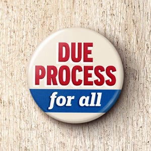 Due Process Pin Button - Rule Of Law Pro-Immigration Anti-ICE Protect Immigrants Pinback Buttons