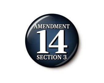 14th Amendment Pin Button | Anti-Insurrection Pin | Anti-Trump 2024 Disqualification Clause | 1 Inch or 1.75 Inch Pinback Button