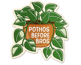 Pothos Before Bros Sticker FREE SHIPPING - Cute Houseplant Sticker - Funny Pothos Plant Lover Sticker - UV-safe Waterproof Vinyl Sticker