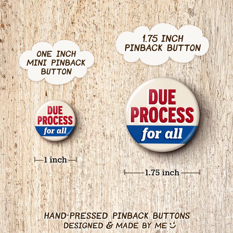 Due Process Pin Button - Rule Of Law Pro-Immigration Anti-ICE Protect Immigrants Pinback Buttons afbeelding 2