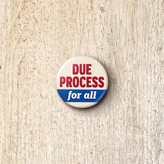 Due Process Pin Button - Rule Of Law Pro-Immigration Anti-ICE Protect Immigrants Pinback Buttons