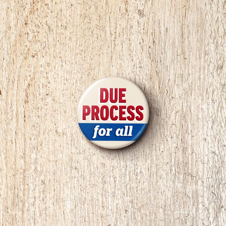 Due Process Pin Button - Rule Of Law Pro-Immigration Anti-ICE Protect Immigrants Pinback Buttons afbeelding 1