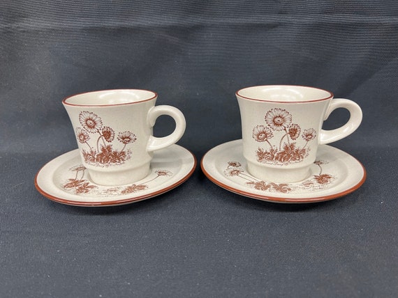 Noritake DESERT FLOWERS 8341 Pair Cups/saucers 1/8