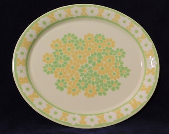 Franciscan PICNIC Oval Serving Platter 14 1/8"