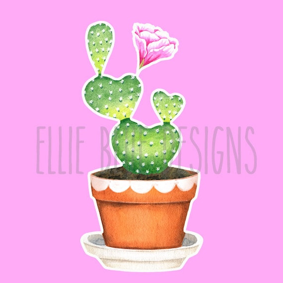 Cactus Sticker, Plant Sticker, Succulent Sticker, Vinyl Sticker, Waterproof  Sticker, Waterbottle Sticker, Christmas gift