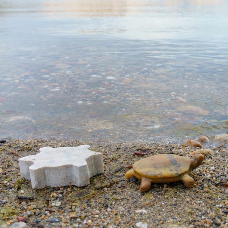 Soapstone turtles on sand in front of water