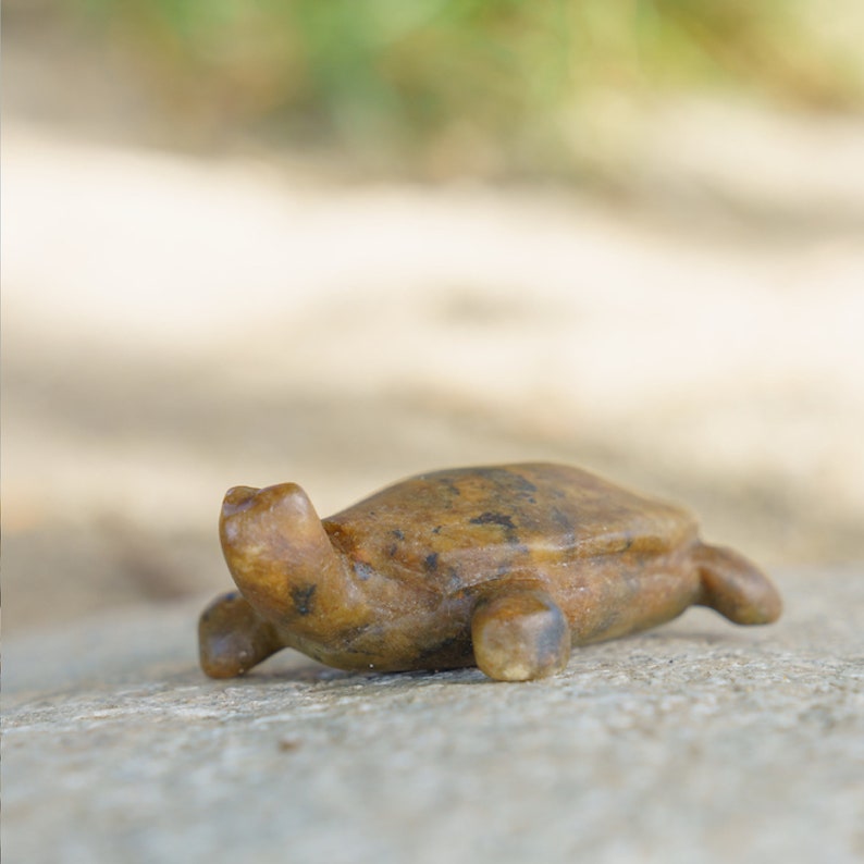 Soapstone turtle on rock in nature