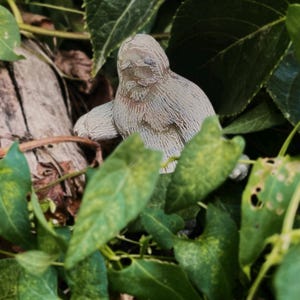 May include: A small, light-colored statue of a creature, possibly a sloth or similar animal, is nestled among green leaves. The statue has a textured surface and is positioned on a piece of wood. The leaves are a mix of dark and light green.