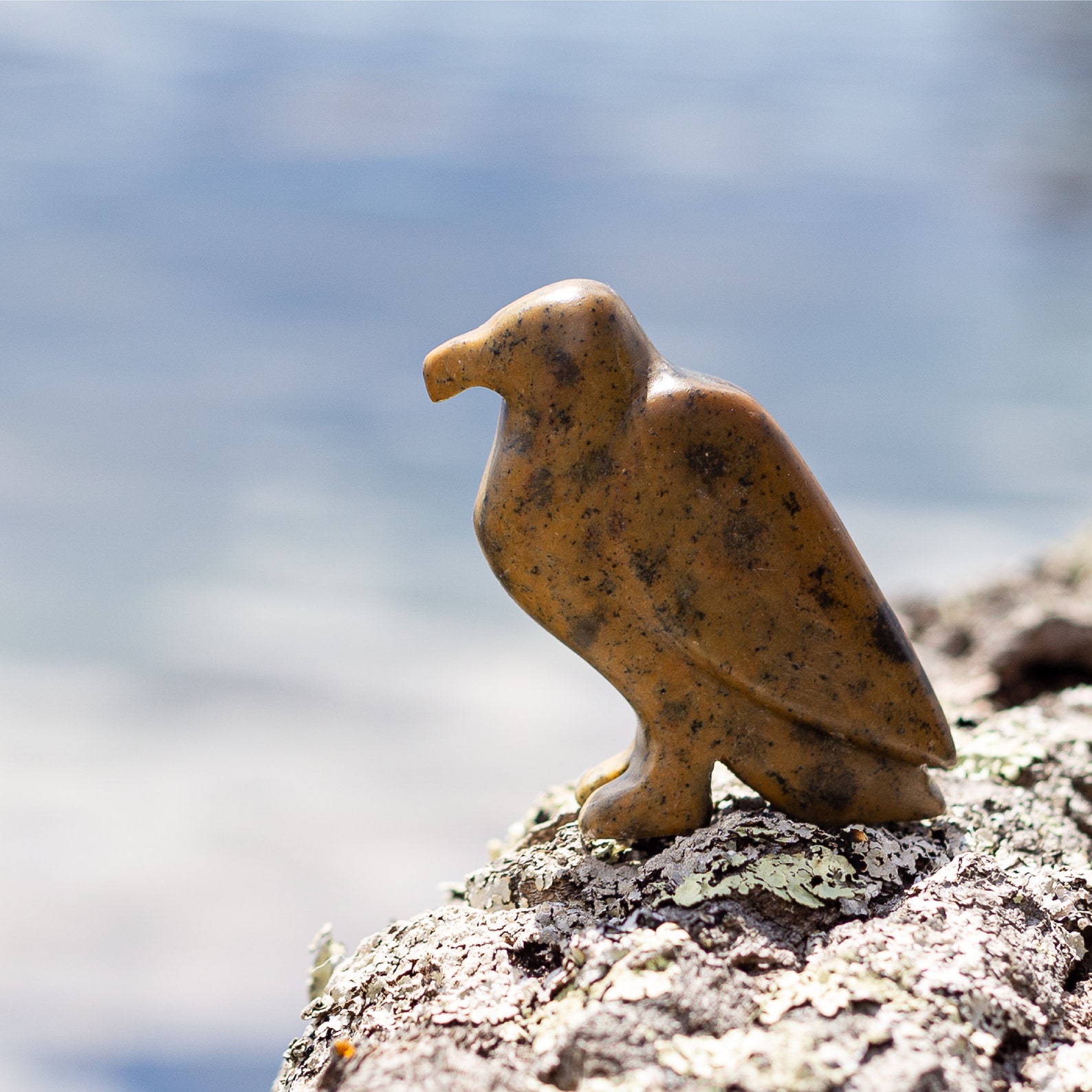 Eagle Soapstone Carving and Whittlingdiy Arts and Craft Kit. Etsy Canada