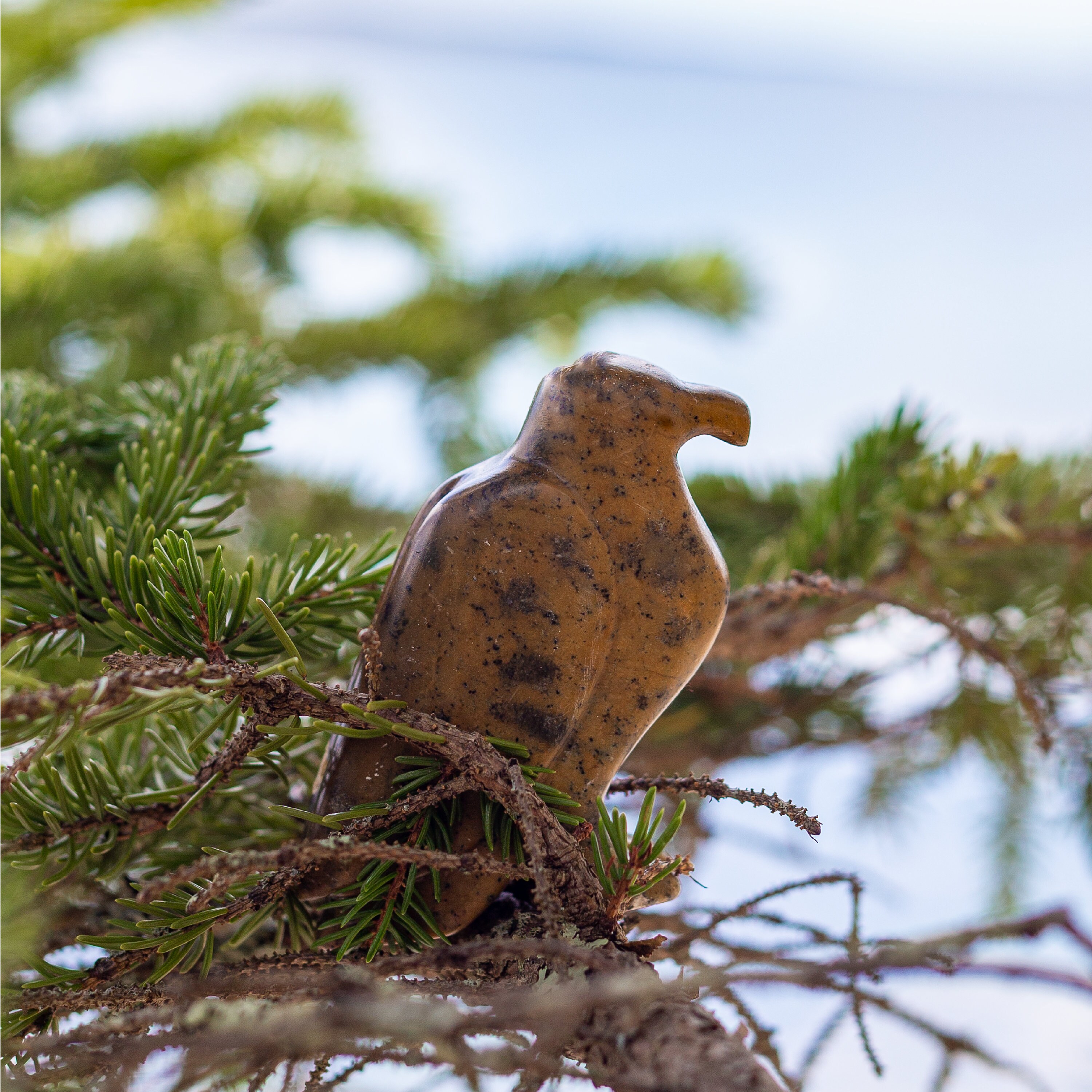 Eagle Soapstone Carving and Whittlingdiy Arts and Craft Kit. Etsy Canada