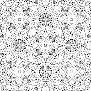 Puede incluir: Patrón intrincado en blanco y negro con formas geométricas repetidas y diseños florales. El patrón es simétrico y tiene un diseño complejo y detallado.