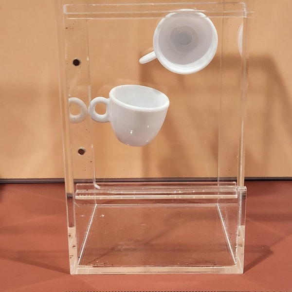 2 pack teacup jumping spider hides