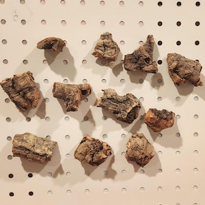 May include: An overhead shot of eleven pieces of cork bark, each with a unique shape and texture. The bark pieces are various shades of brown and tan, and are arranged on a white pegboard background.