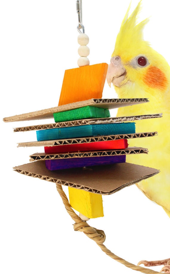 Cardboard top bird toys