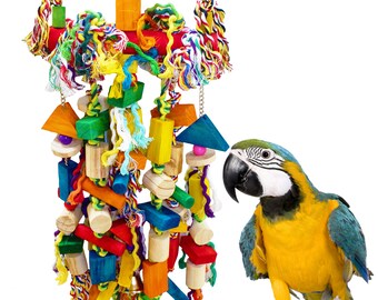 large macaw swings