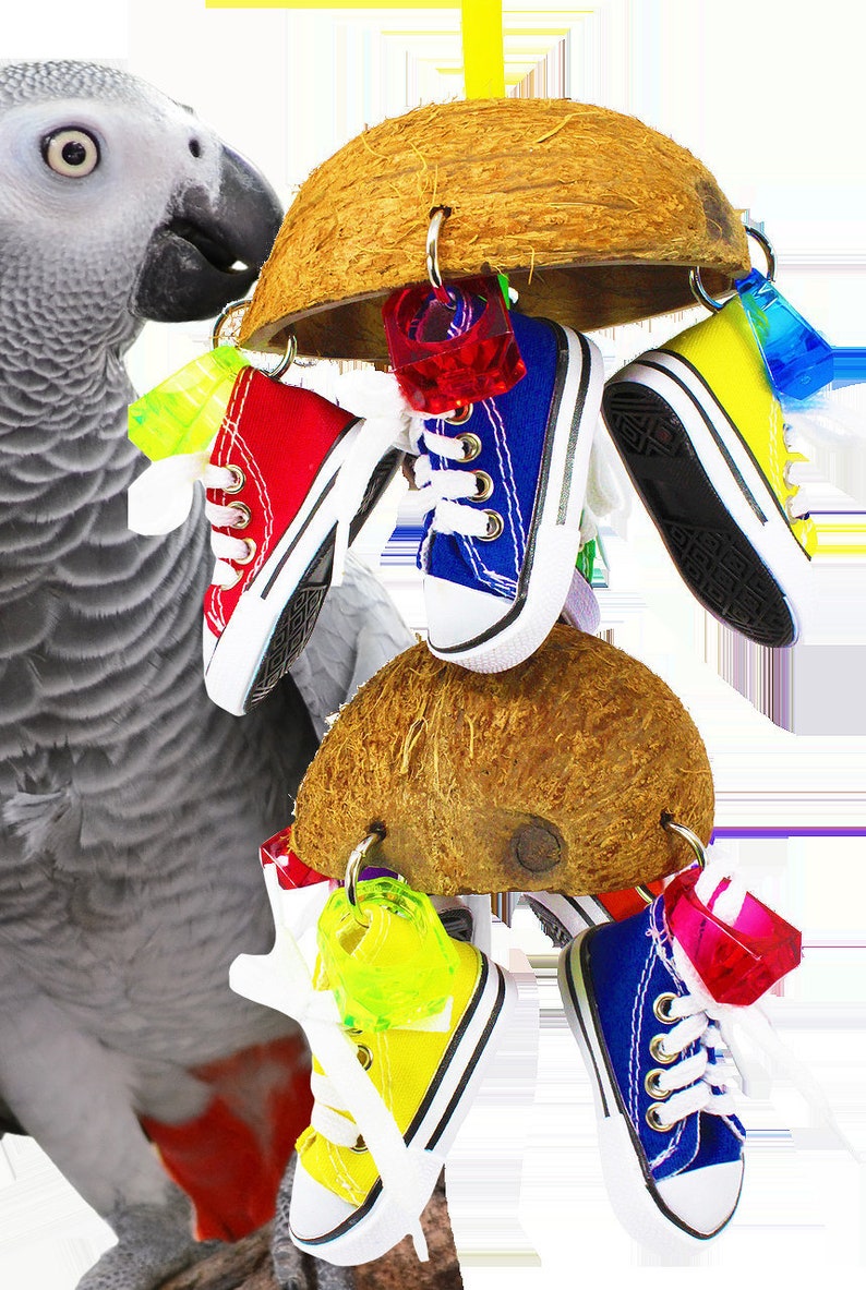1782 Duo Coco Sneaker Bird Toy
