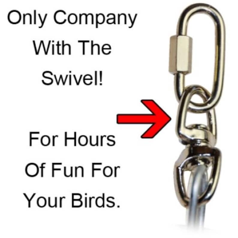 1962 Huge Charm Rope Boing Coil Swing Bird Toy