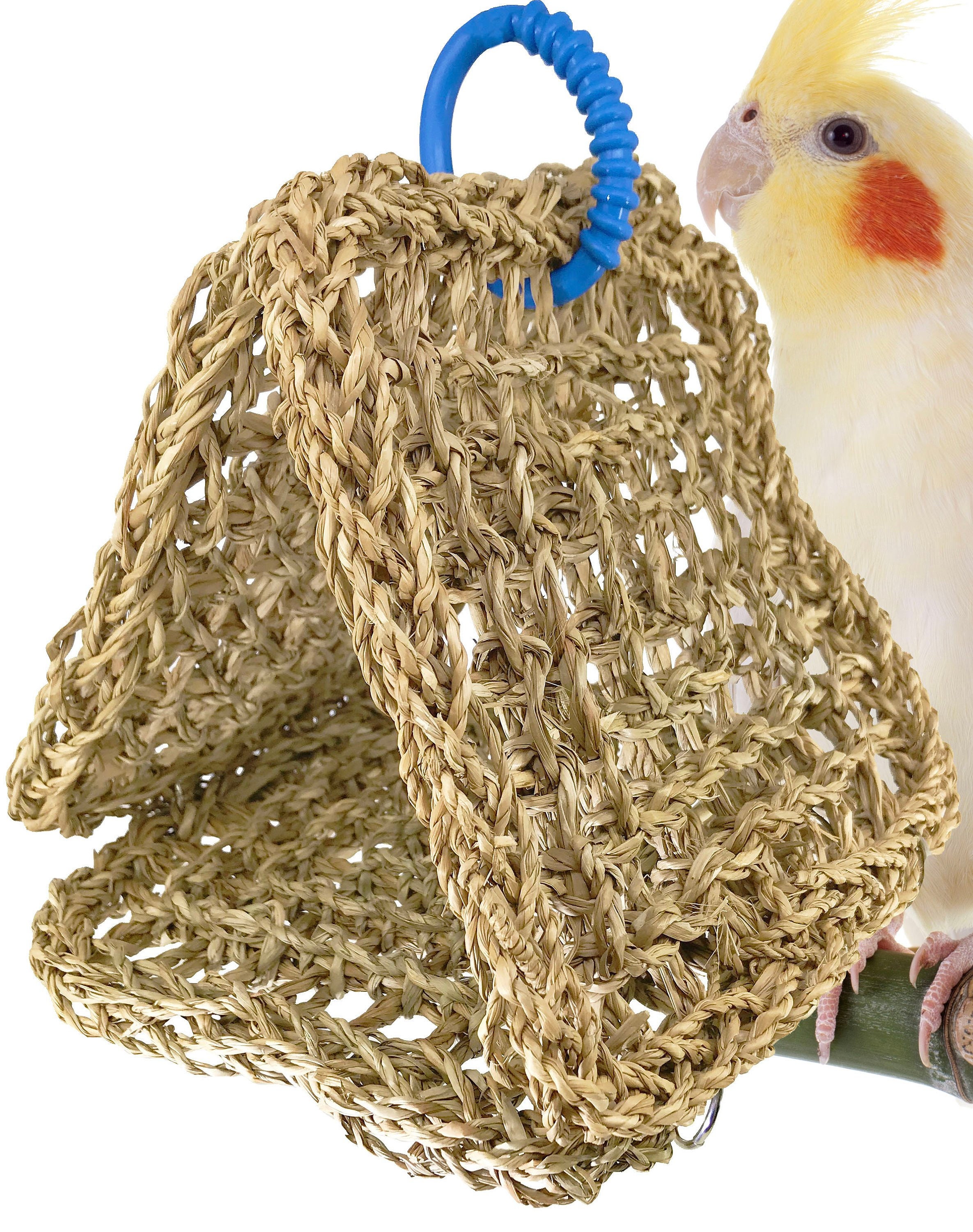 bird toys