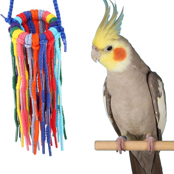 Bonka Bird Toys 51214 Small Aglet Heaven