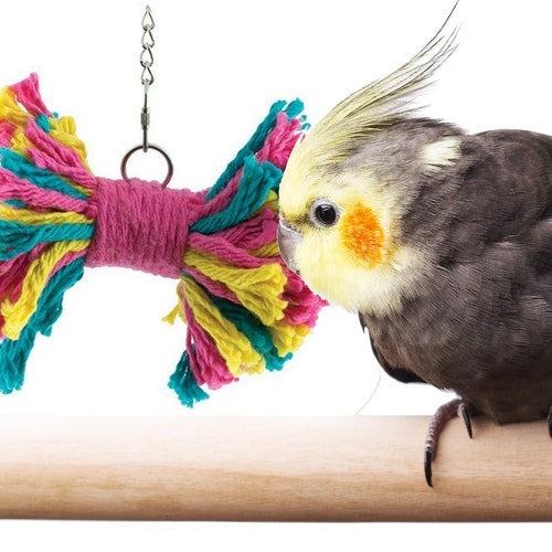 interactive budgie toys