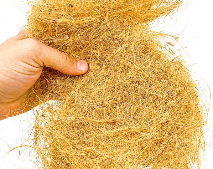 3144 Coconut Fiber Bedding Nesting Material Bird Toy Etsy