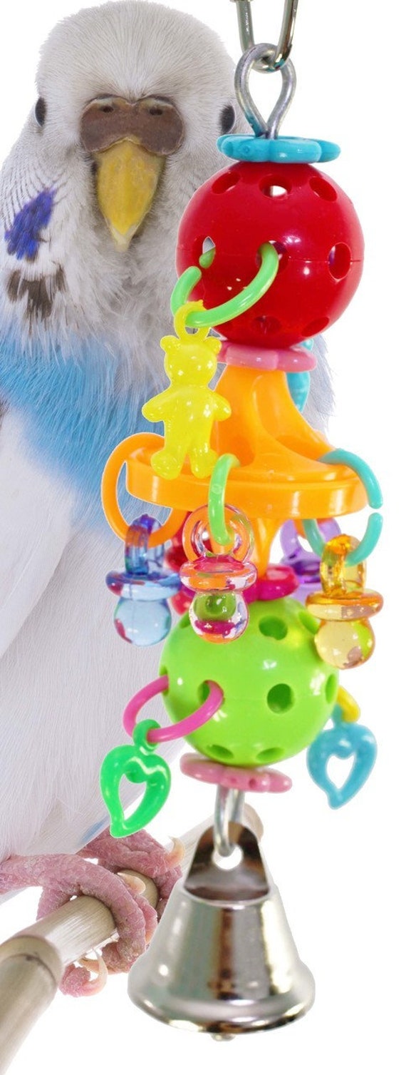 bird toy store