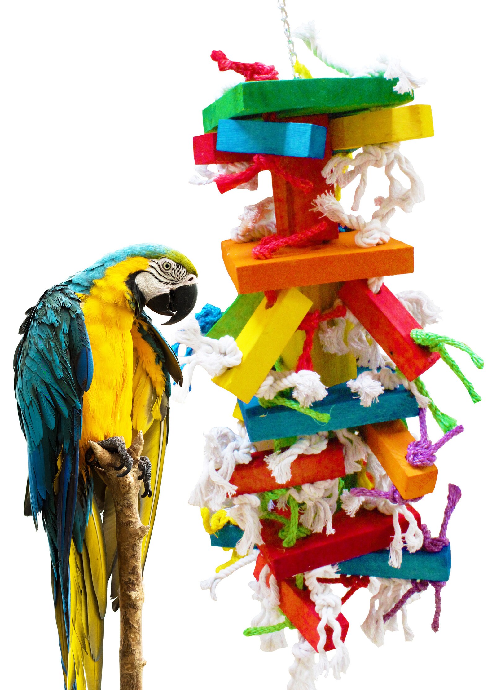 Bonka Bird Toys 1798 Big Foamy Delight - Shreddable Parrot Toy For Cockatiels, Conures, Medium Birds