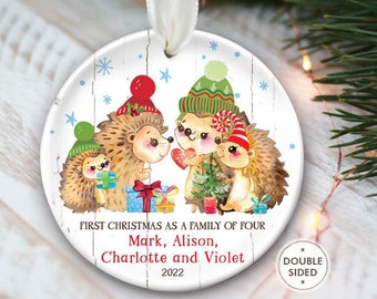 Hedgehog Family Ornament, Hedgehogs Ornament, Personalized Christmas Ornament, Family of 3 or 4 or 5 or 6 or 7 Family Christmas Gift OR871