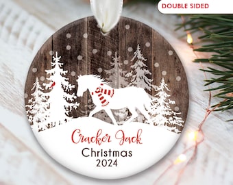 Horse Ornament Personalized Horse Christmas Ornament Horse Gift for Equestrian Ornament Horse Farm Girl Gift Horse Ranch Ornament OR990