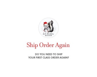 Re-mail an order to a new shipping address, by First Class Mail, due to return of order or customer error on shipping address - domestic