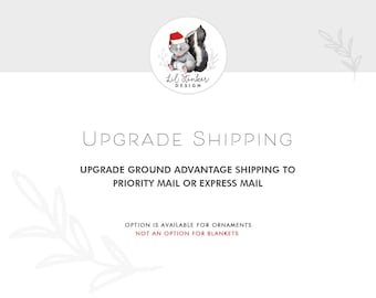 UPGRADE shipping to Priority Mail, or to Priority Express Mail, after having ALREADY placed an order with First Class Mail shipping