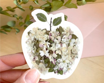 Apple Blossom Apple Design,  Pressed Flower Sticker, 3 inch