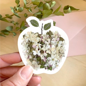 Apple Blossom Apple Design,  Pressed Flower Sticker, 3 inch
