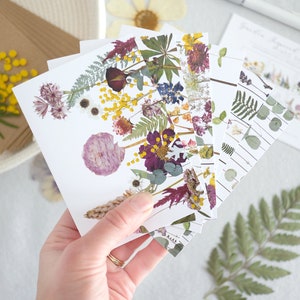 Jeu de cartes de correspondance pressées jardin de fleurs, lot de 6, petites cartes de voeux de tous les jours, jeu de cartes botaniques imprimées numériquement