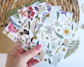 Pressed Flower Collage Note Card Set, Mix Pack of 6, Small Everyday Greeting Cards, Digitally Printed Botanical Card Set