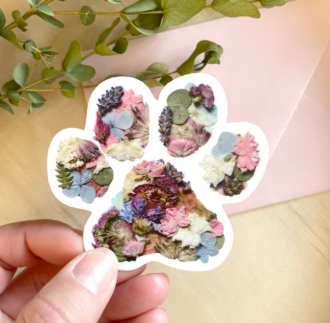 Pet Paw Print Art, Pressed Flower Sticker , 3 Inch Etsy