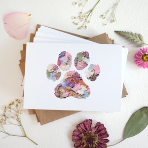 Fleurs pressées empreintes de pattes de chien, cartes de correspondance en boîte, lot de 6, jeu de cartes botaniques imprimées numériquement