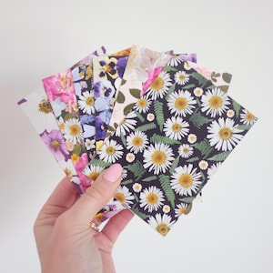 Pressed Flower Petals & Posies Note Card Set, Mix Pack of 6, Small Everyday Greeting Cards, Digitally Printed Botanical Card Set