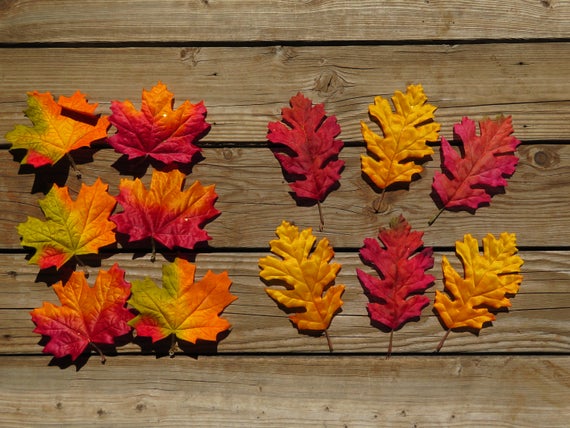 Medium fall leaves,6 inch single accent leaves,6/pkg,oak or maple,indoor use only,autumn earth tones,Fall,florals