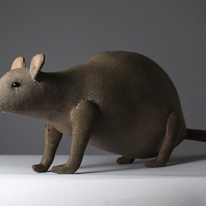 May include: A brown fabric rat with black eyes. The rat is sitting on a white surface with a grey background.