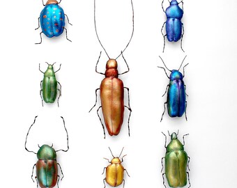 Beetle Collection -Sewing Pattern and Tutorial (PDF Digital File Download)