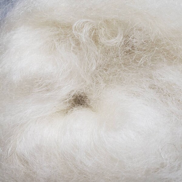 Cotswold batts white Shave'em to Save'em undyed