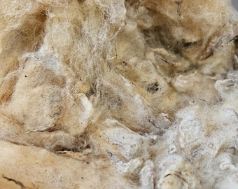 Llanwenogg UK rare breed wool sample size 4 ounces raw