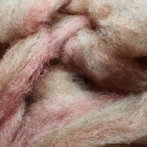Fantasy roving Werewolves of London gray rose and rust