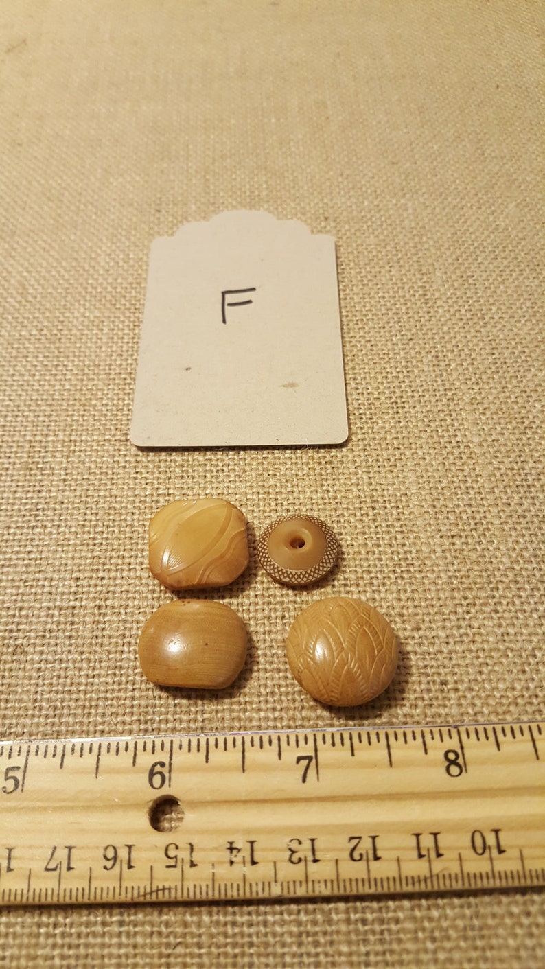 Vegetable ivory buttons tagua nut wood look
