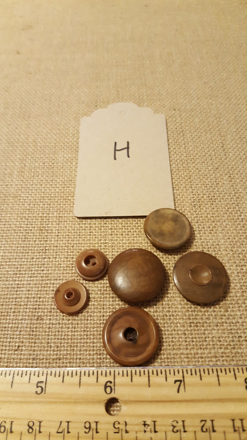 Vegetable ivory buttons tagua nut wood look